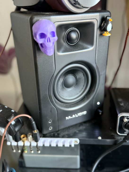 Black speaker with a purple skull decoration on top and audio connections visible.